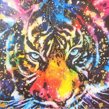 Rainbow Tiger